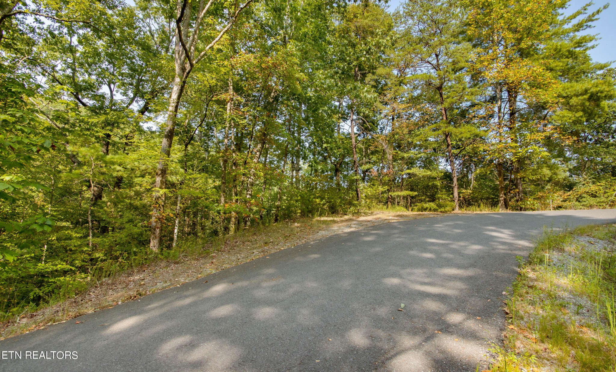 20 Sugar Maple Loop Road Sevierville, TN 37862 - Photo 1 of 10 Gallery Image 1