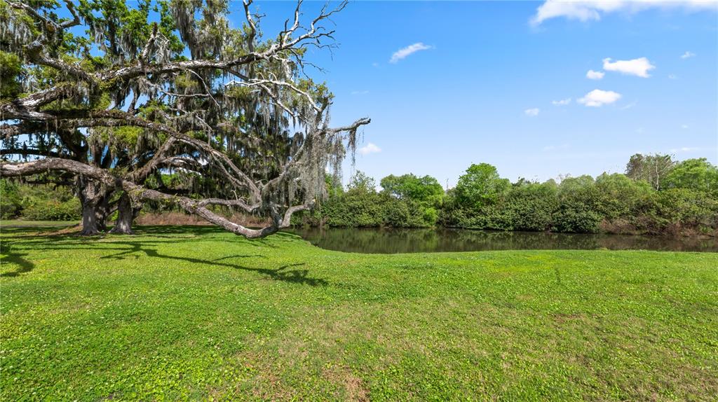 7910 Bally Money Road Tampa, FL 33610 - Photo 42 of 52