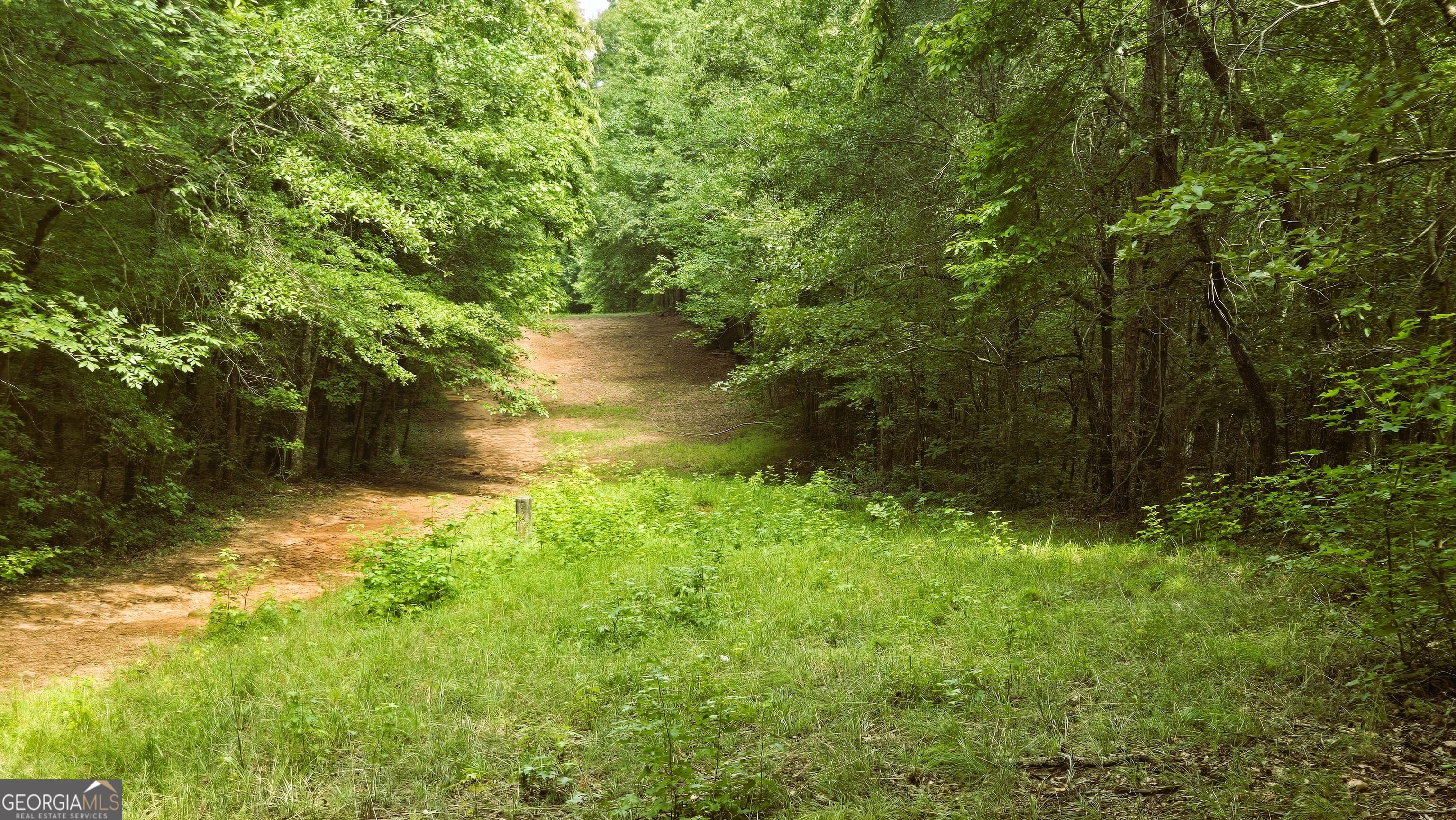 3065 Smokey Road Athens, GA 30601 - Photo 10 of 68 Gallery Image 10