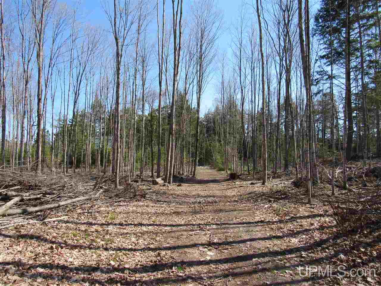 N2510 Co Rd Kch Big Bay, MI 49808 - Photo 17 of 39