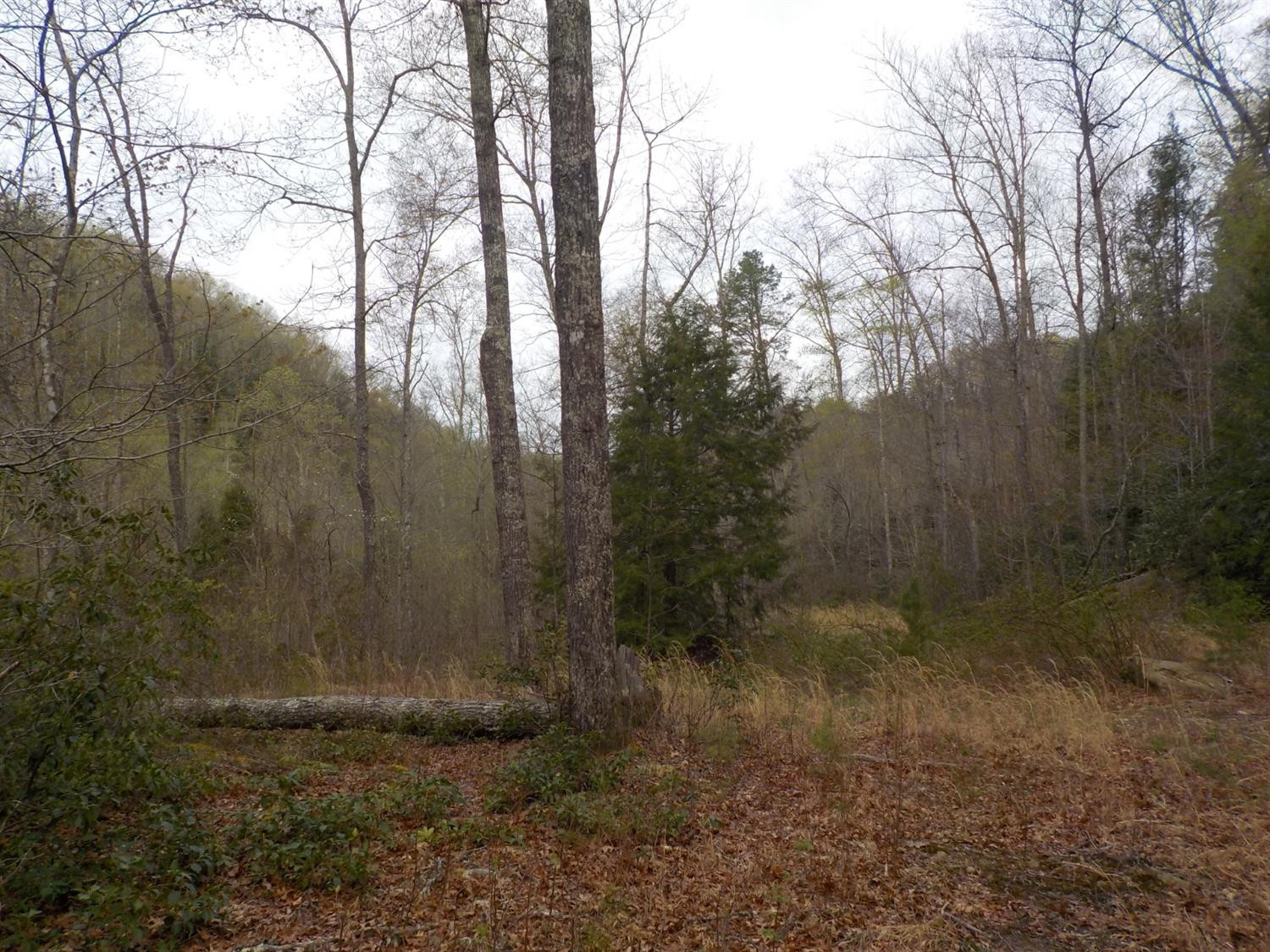1 Rolling Hills Road Wellington, KY 40387 - Photo 9 of 13 Photo 9