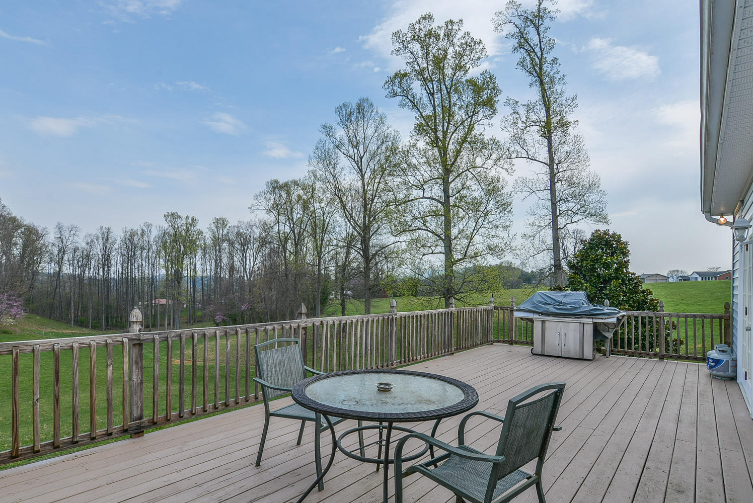 2235 Dave Buck Road Johnson City, TN 37601 - Photo 41 of 53 2235 Dave deck 1