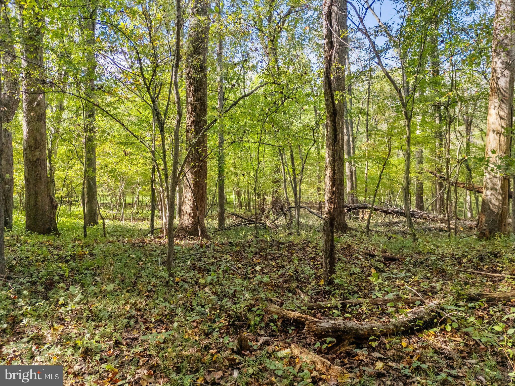 2018 Hunter Mill Road Vienna, VA 22181 - Photo 60 of 71 Gallery Image 60