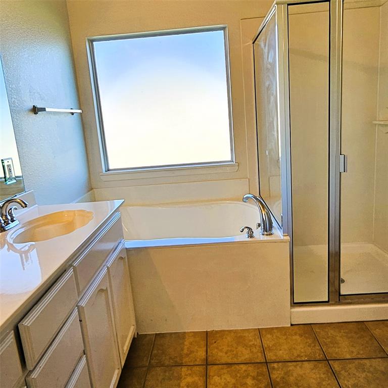 7909 Raton Ridge Lane Arlington, TX 76002 - Photo 9 of 10 a bathroom with a tub a sink and a mirror