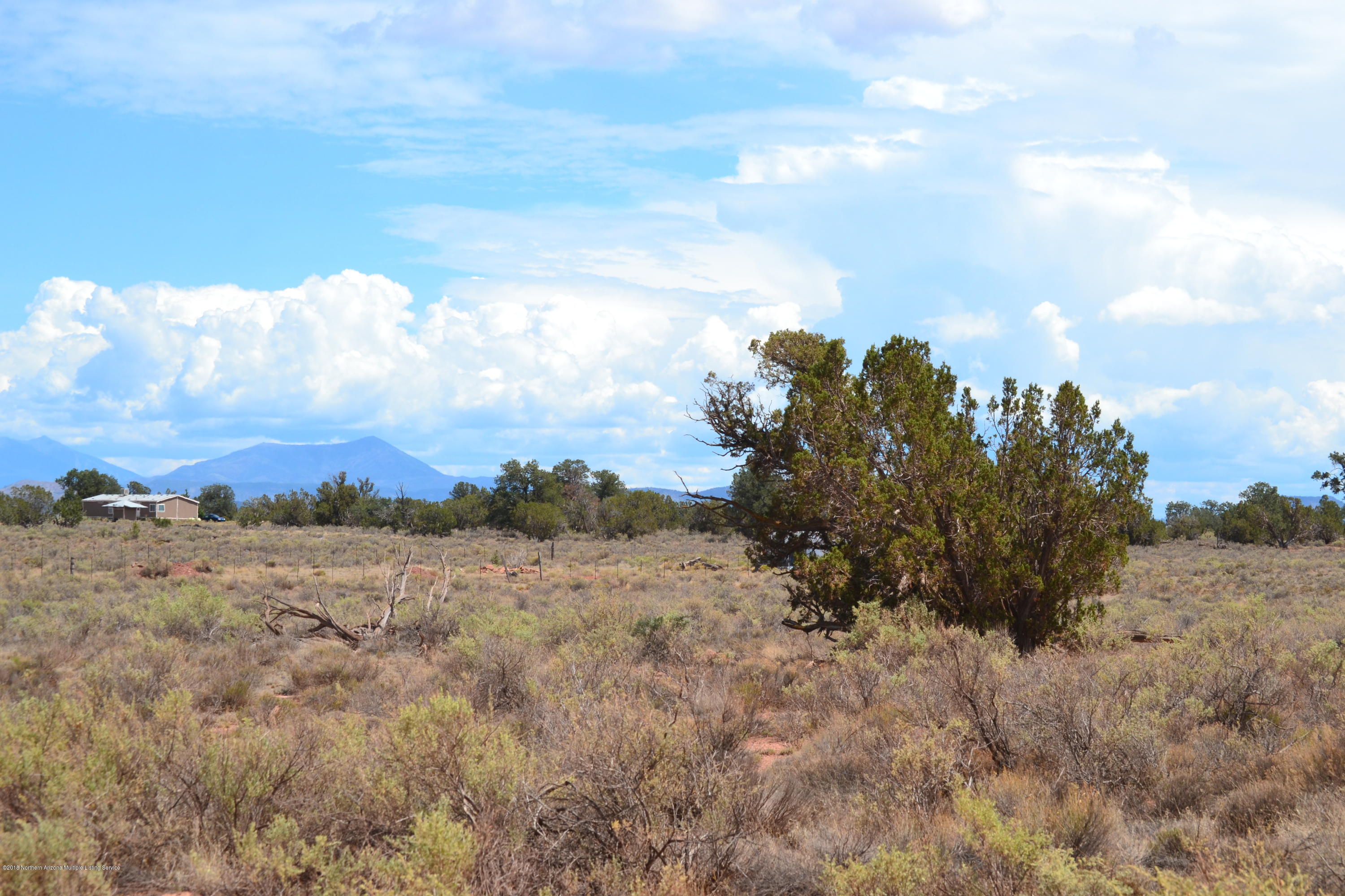 586 Highgrove Road Williams, AZ 86046 - Photo 2 of 3 DSC_0319