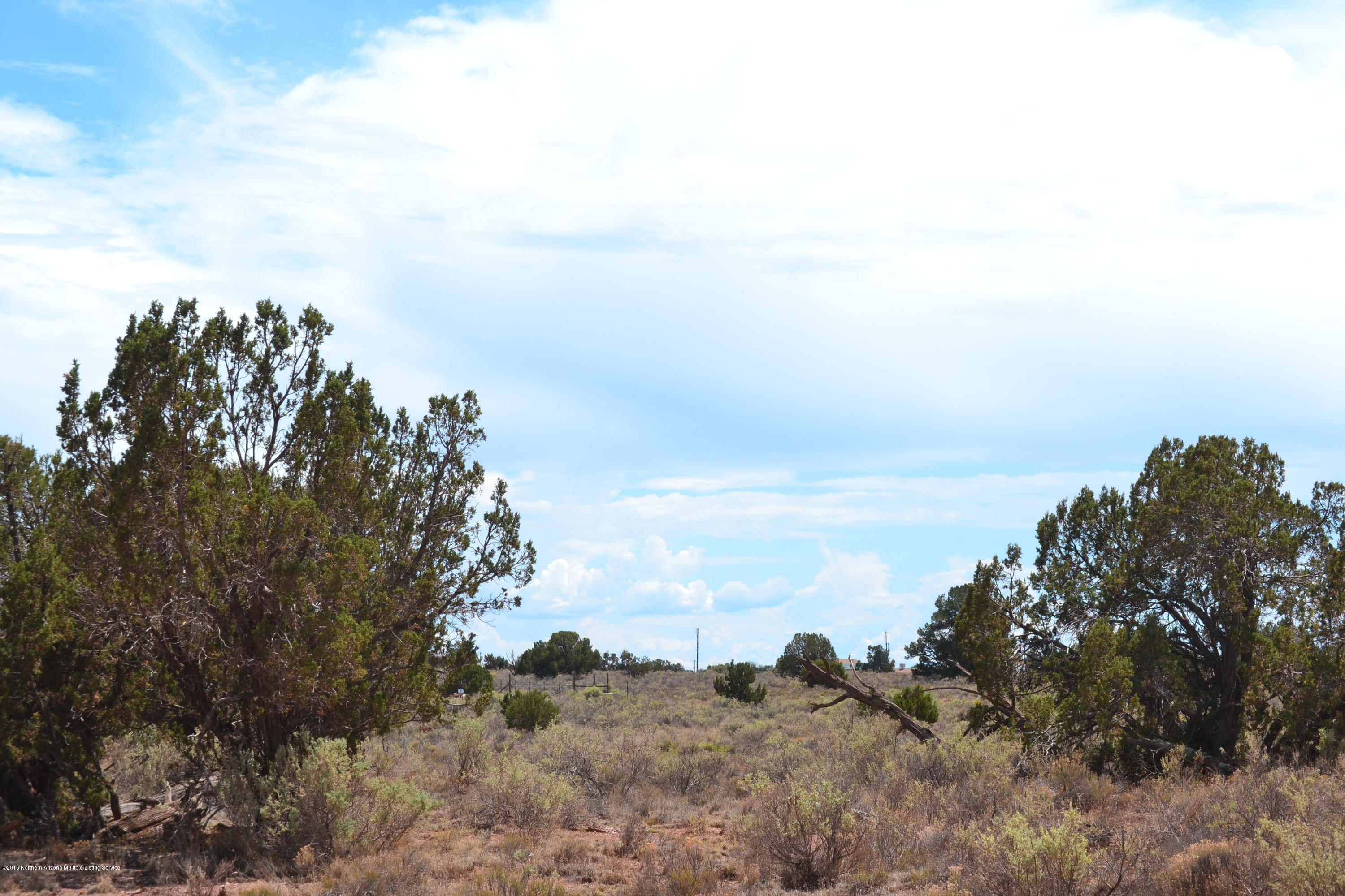 586 Highgrove Road Williams, AZ 86046 - Photo 3 of 3 DSC_0320