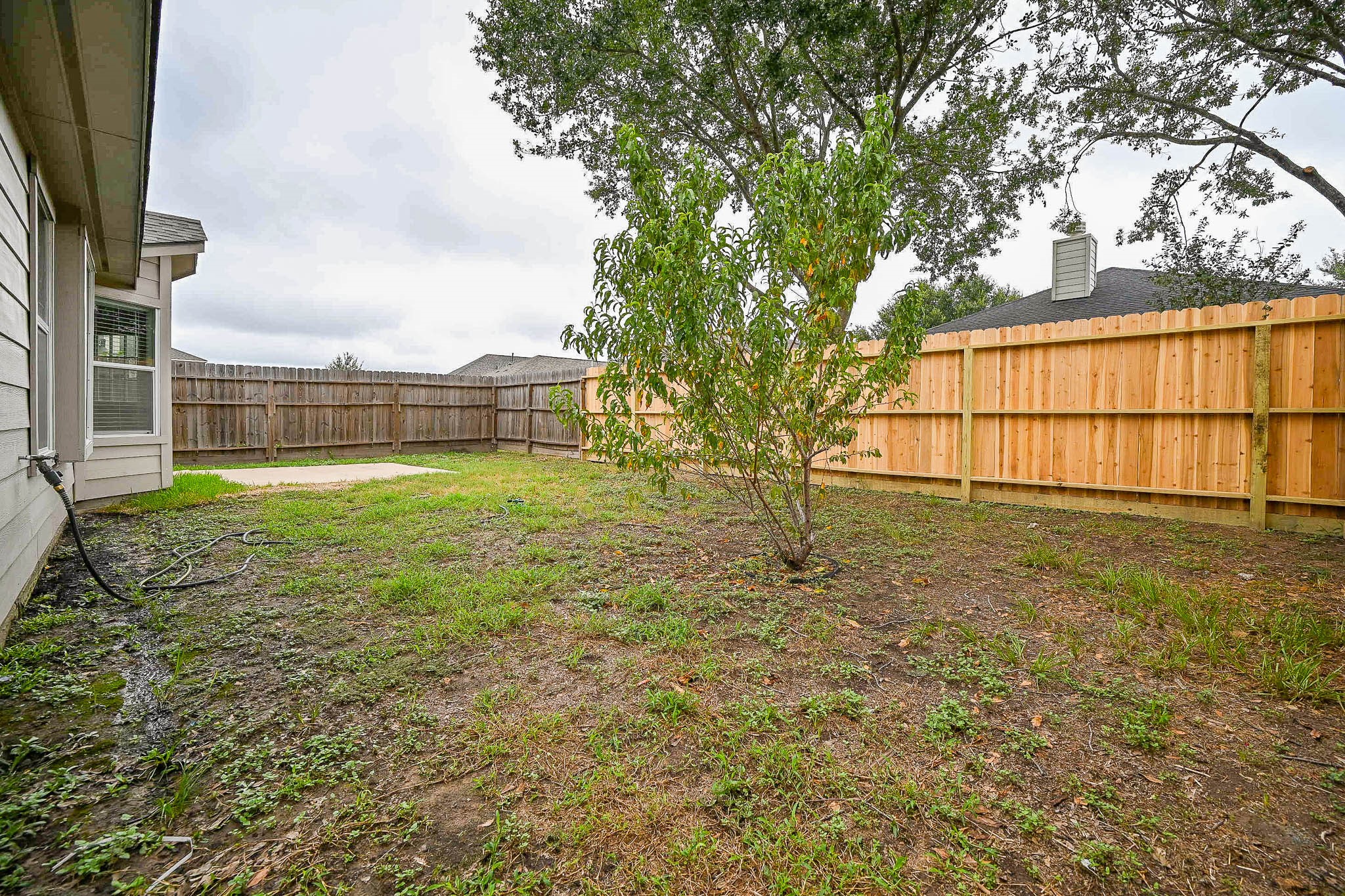 18518 Shadow Line Court Katy, TX 77449 - Photo 32 of 32 a view of a backyard with large trees