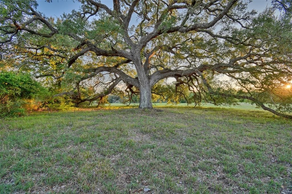 8456 Schuster Road Ledbetter, TX 78946 - Photo 47 of 49 a view of outdoor space with trees