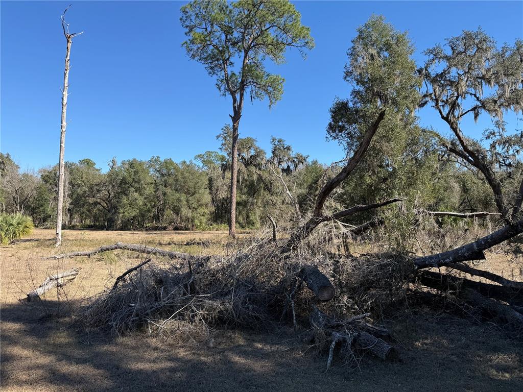18630 Bradshaw Road Dade City, FL 33523 - Photo 25 of 43 a view of a backyard of the house
