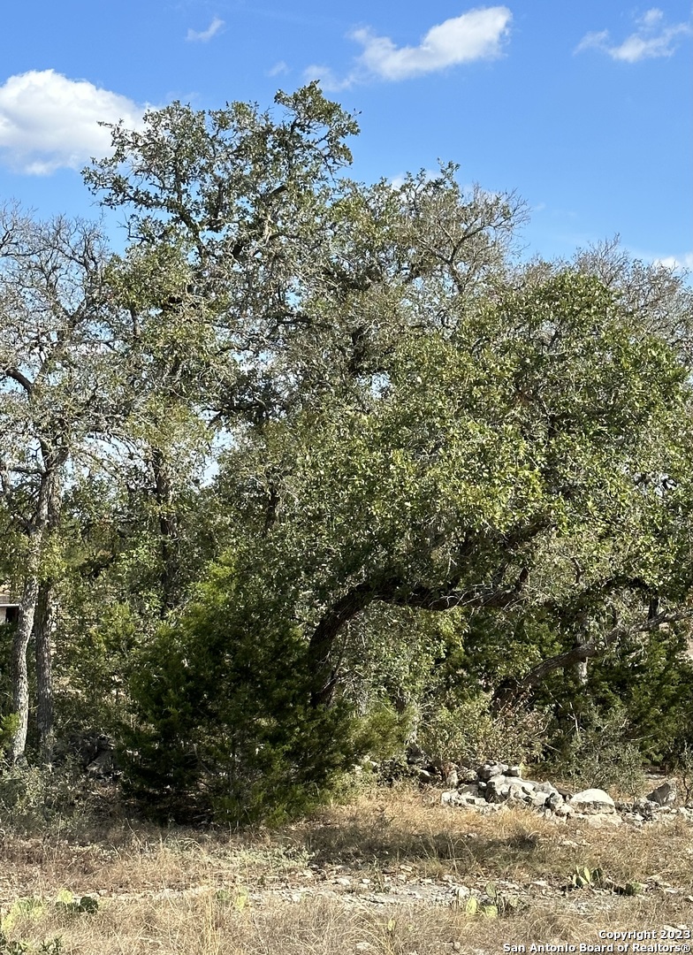 434 George Dolson Blanco, TX 78606 - Photo 9 of 11