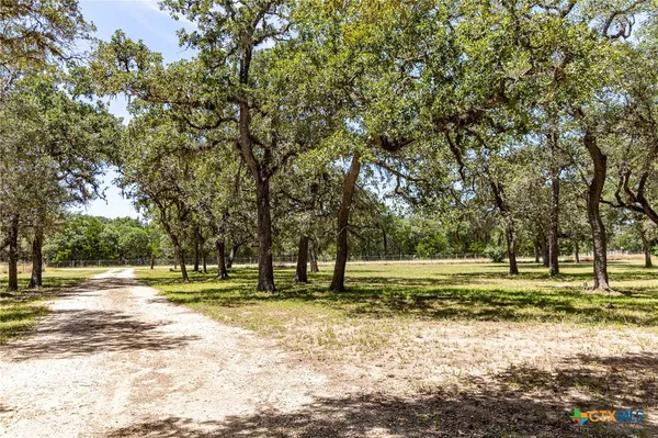 a view of a park with large trees