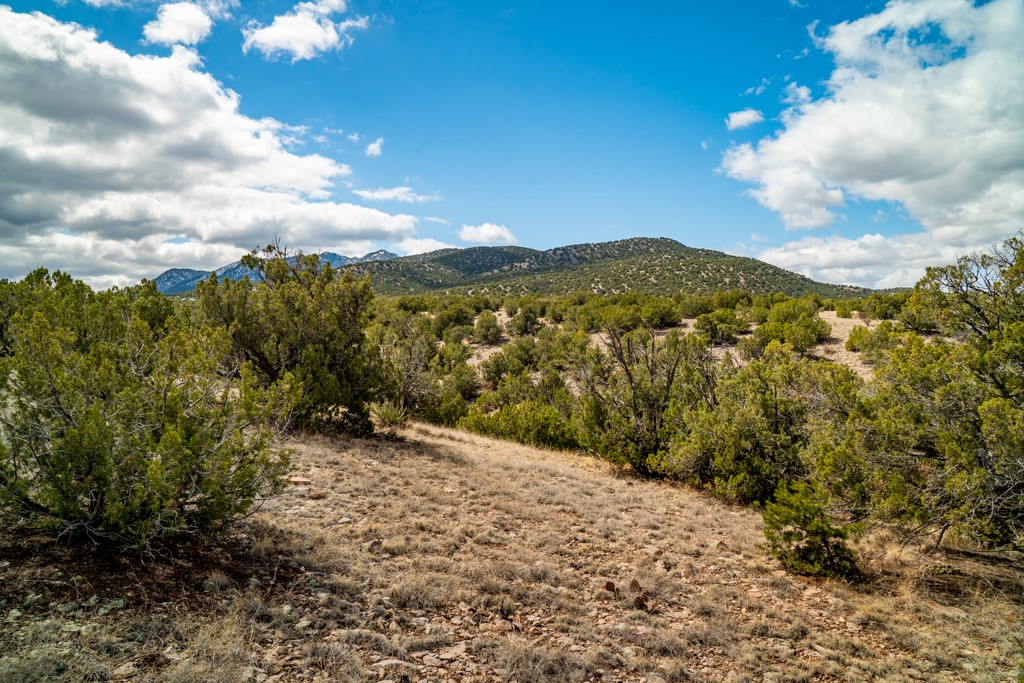 Tbd Hanuman Road Cerrillos, NM 87010 - Photo 19 of 33