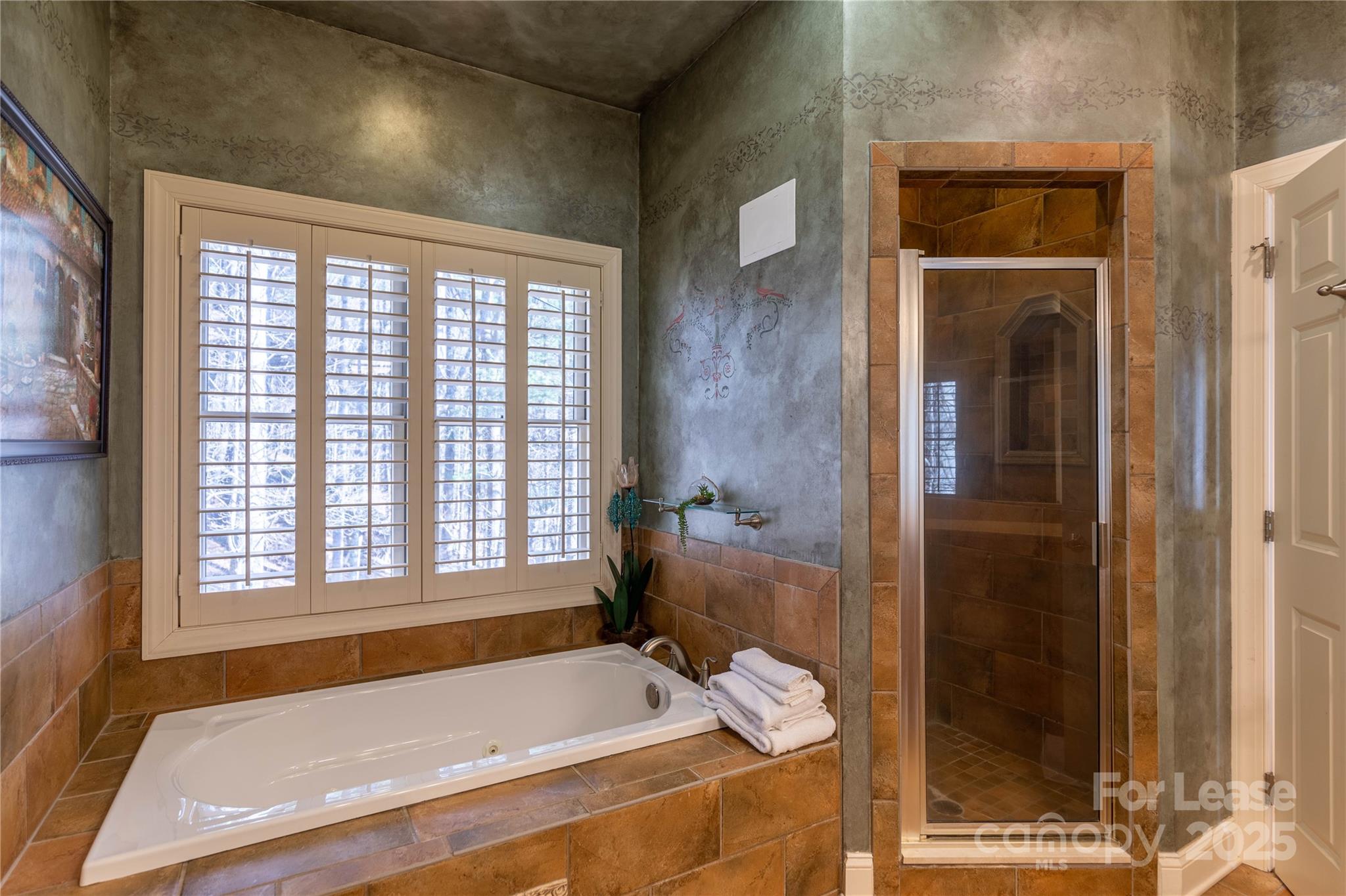 446 Windridge Drive Sugar Grove, NC 28679 - Photo 17 of 37 a bathroom with a bathtub and a shower