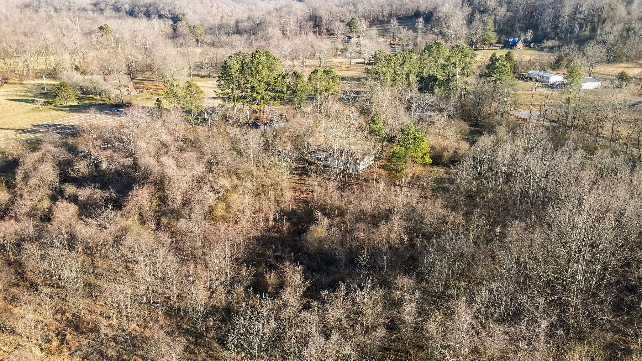 1855 New Hope Road Springfield, TN 37172 - Photo 11 of 35 a view of a yard