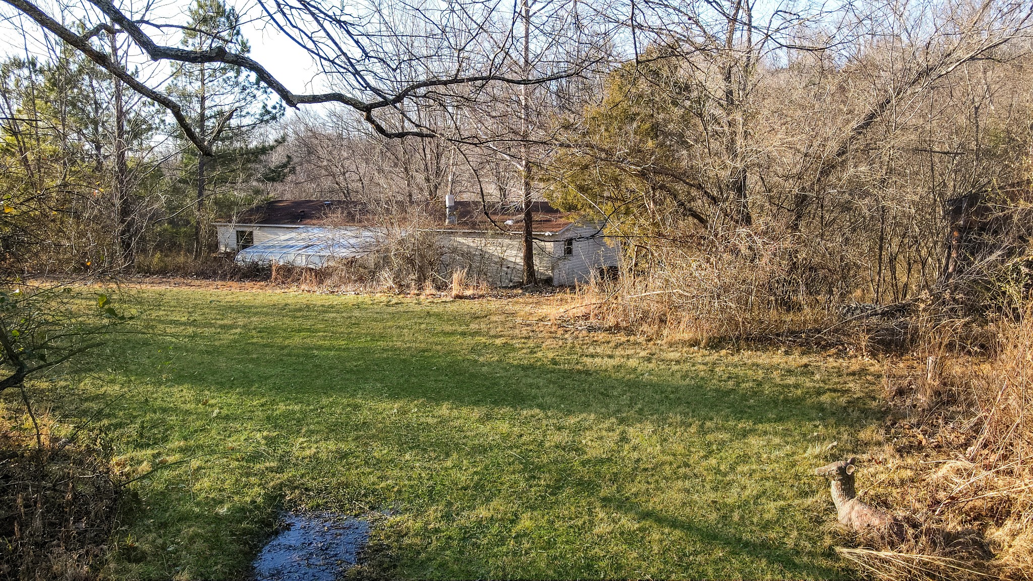 1855 New Hope Road Springfield, TN 37172 - Photo 13 of 35 a view of a yard with large trees