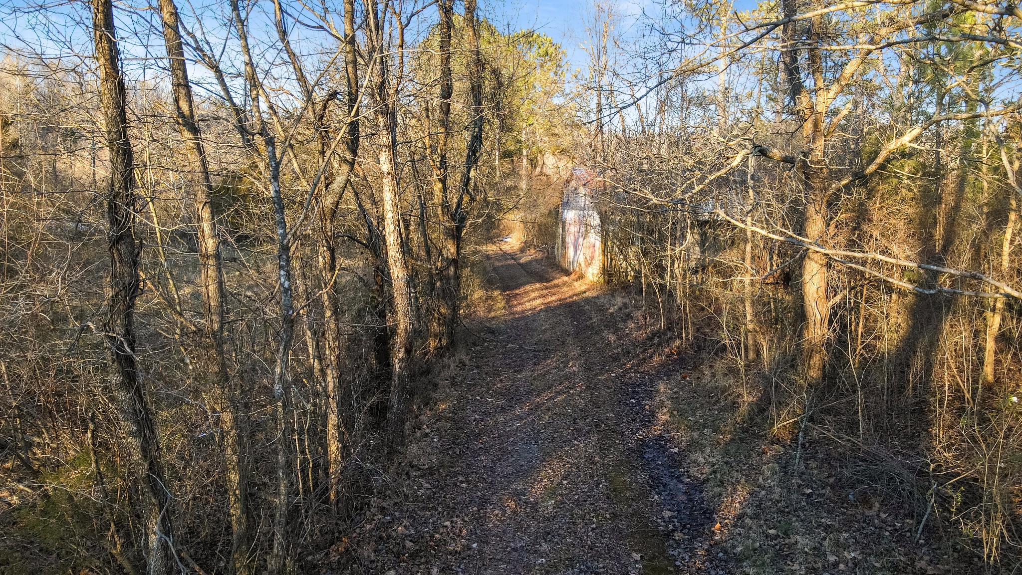 1855 New Hope Road Springfield, TN 37172 - Photo 14 of 35 a view of a yard