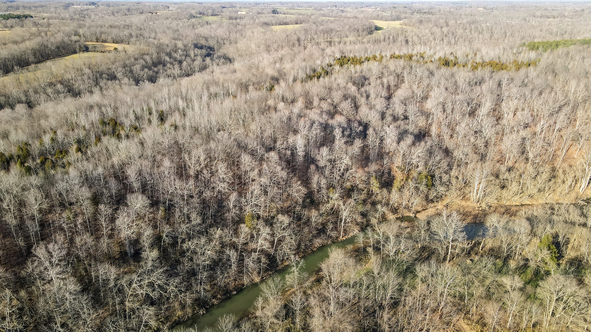1855 New Hope Road Springfield, TN 37172 - Photo 3 of 35 a view of a field