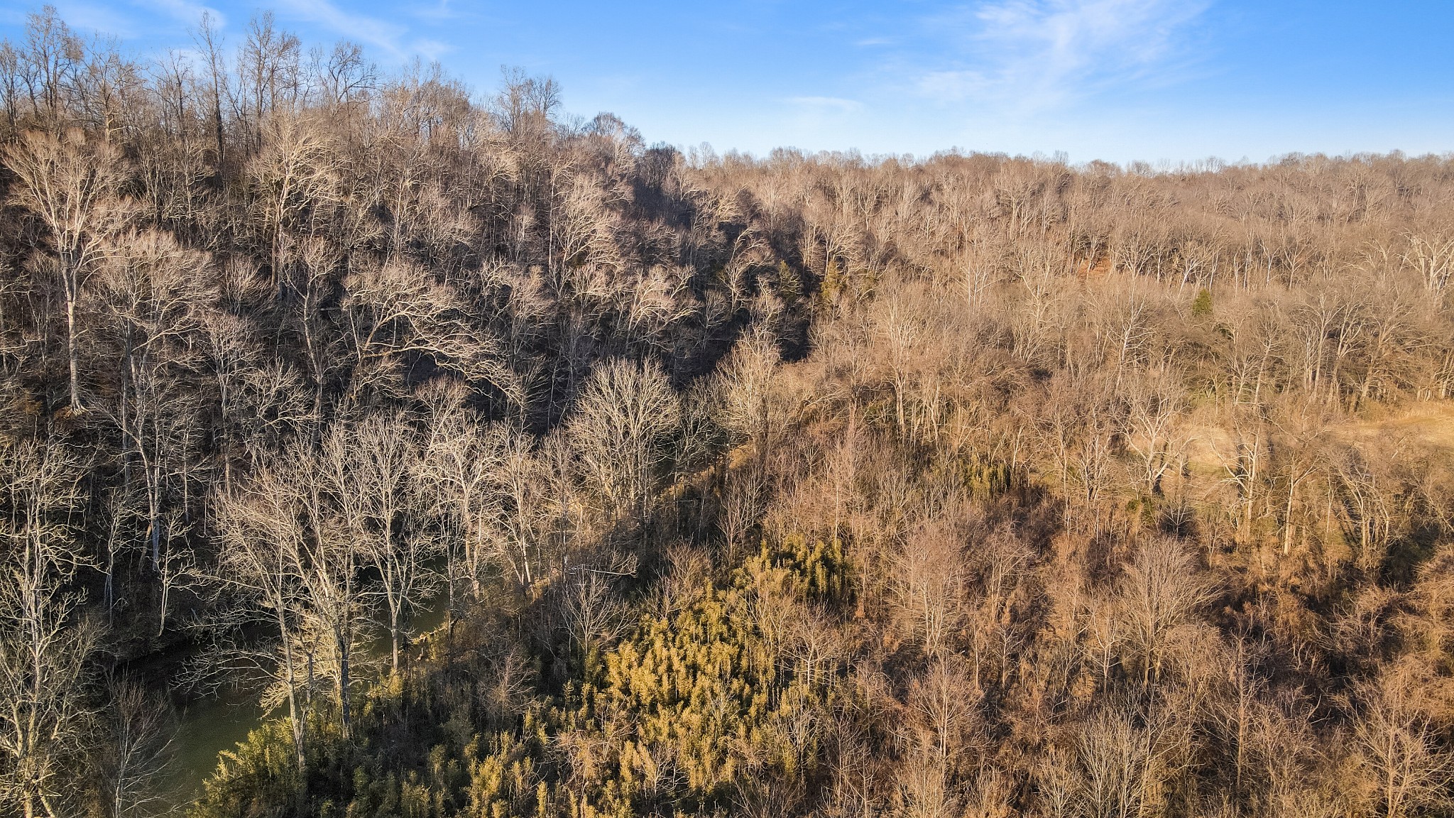 1855 New Hope Road Springfield, TN 37172 - Photo 31 of 35