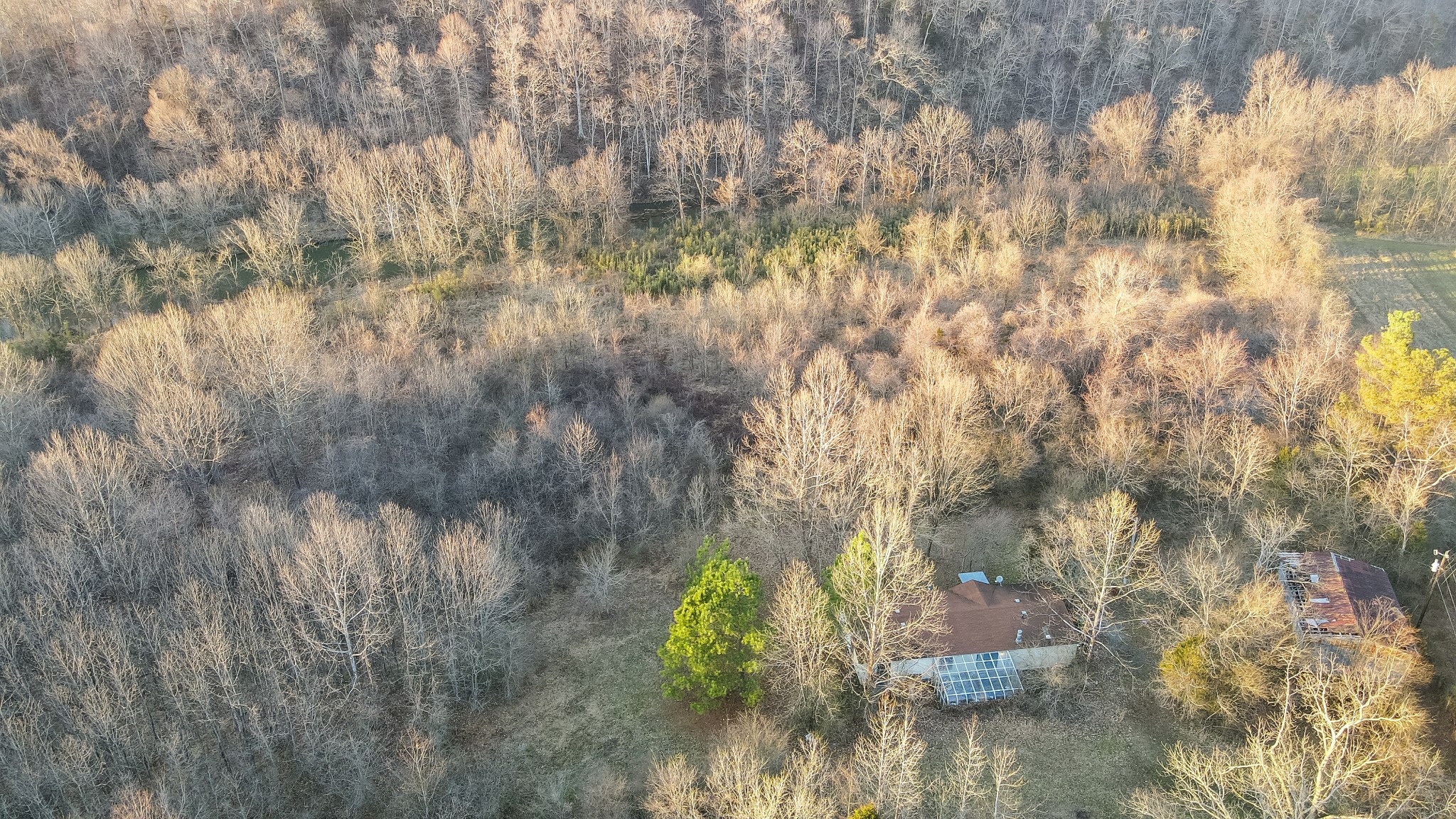 1855 New Hope Road Springfield, TN 37172 - Photo 33 of 35 a view of a tree in a garden