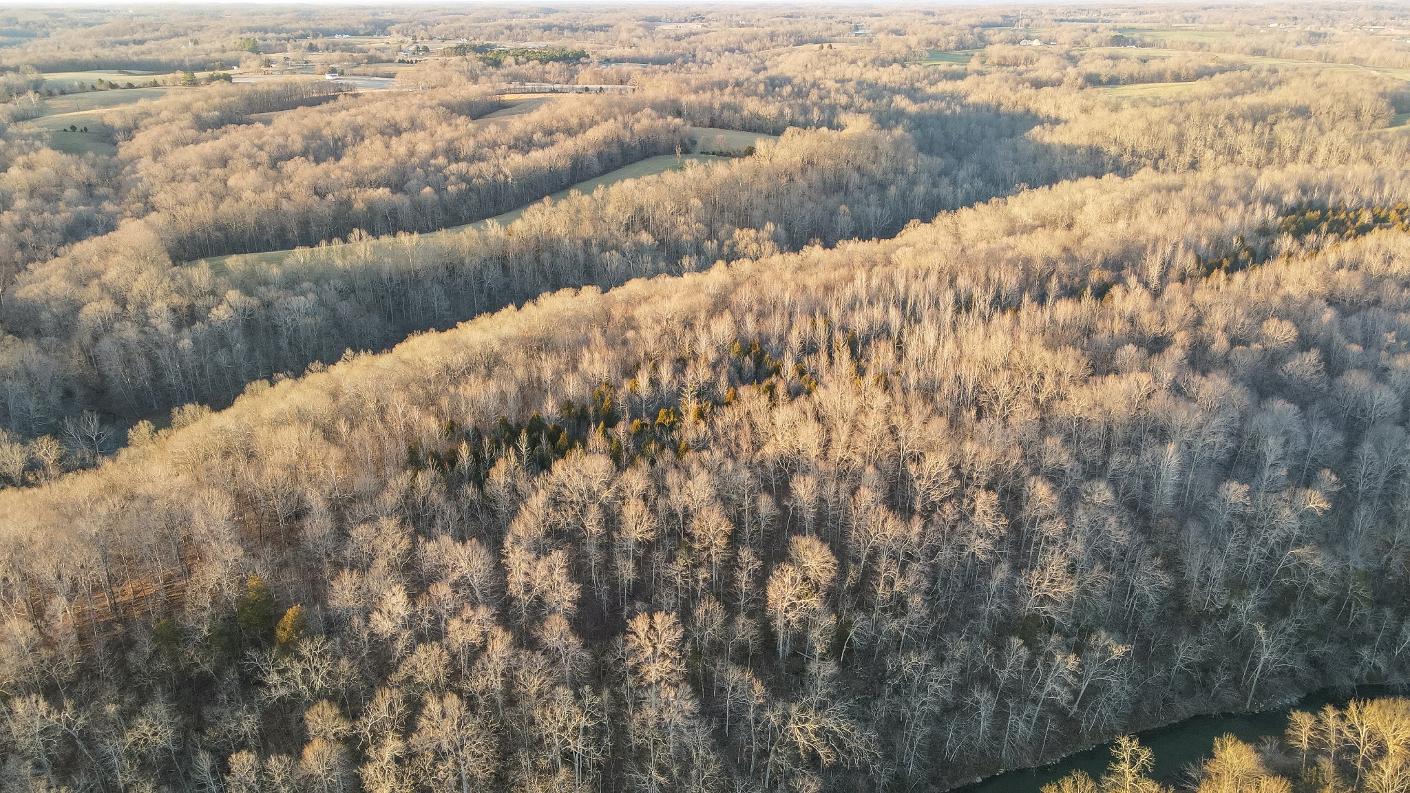 1855 New Hope Road Springfield, TN 37172 - Photo 34 of 35 a view of a yard