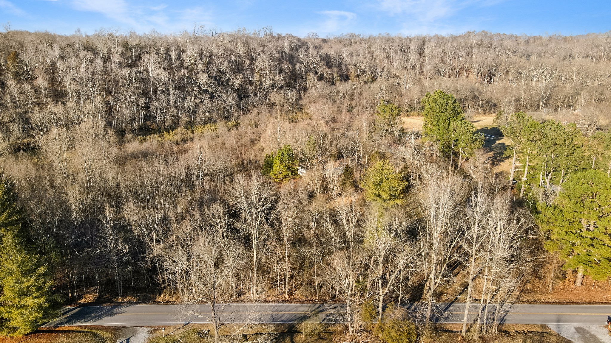 1855 New Hope Road Springfield, TN 37172 - Photo 7 of 35 a view of a yard with wooden fence