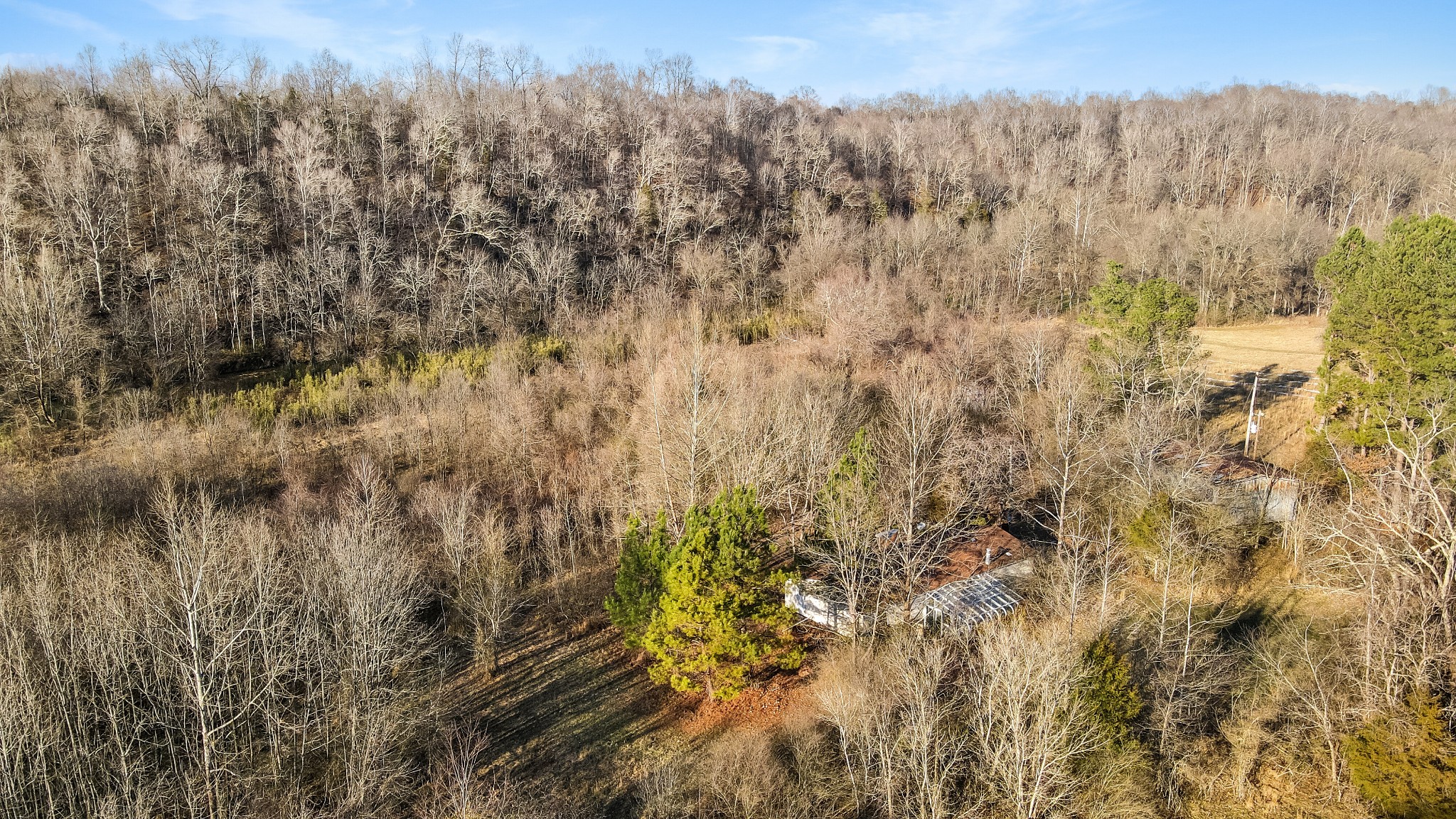 1855 New Hope Road Springfield, TN 37172 - Photo 9 of 35 a view of a yard