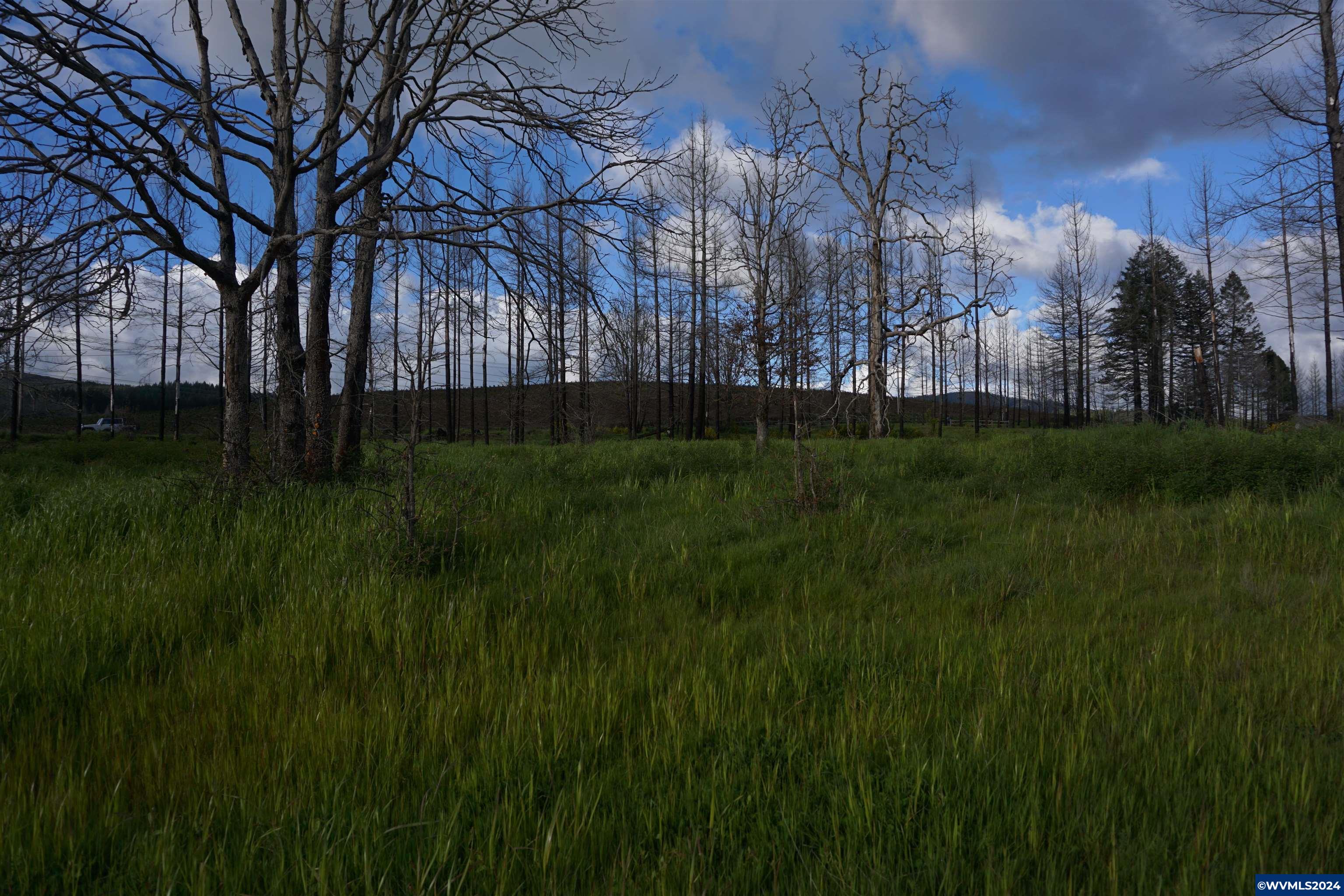 900 Wagner Road Lyons, OR 97358 - Photo 14 of 30