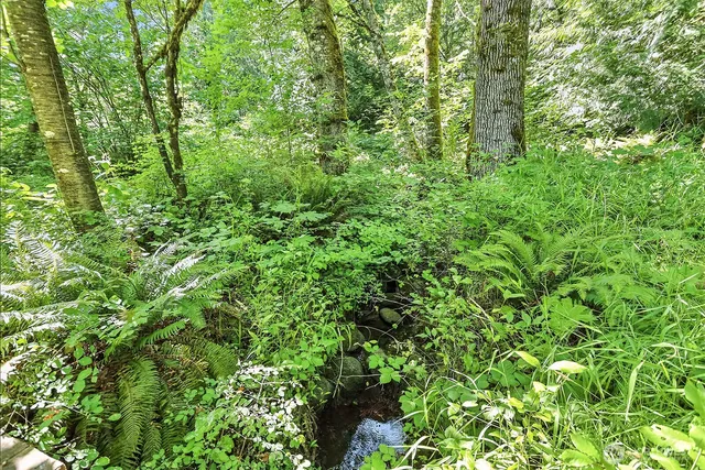 $379,000 | 0 Fern Meadows Road, Stevenson, WA 98648