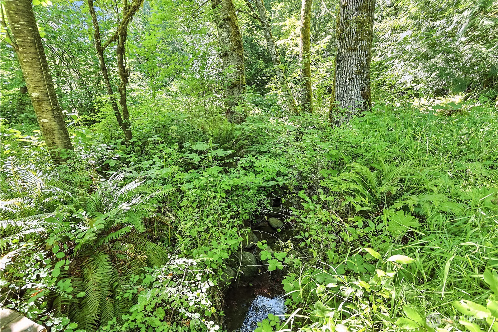 0 Fern Meadows Road Stevenson, WA 98648 - Photo 11 of 22