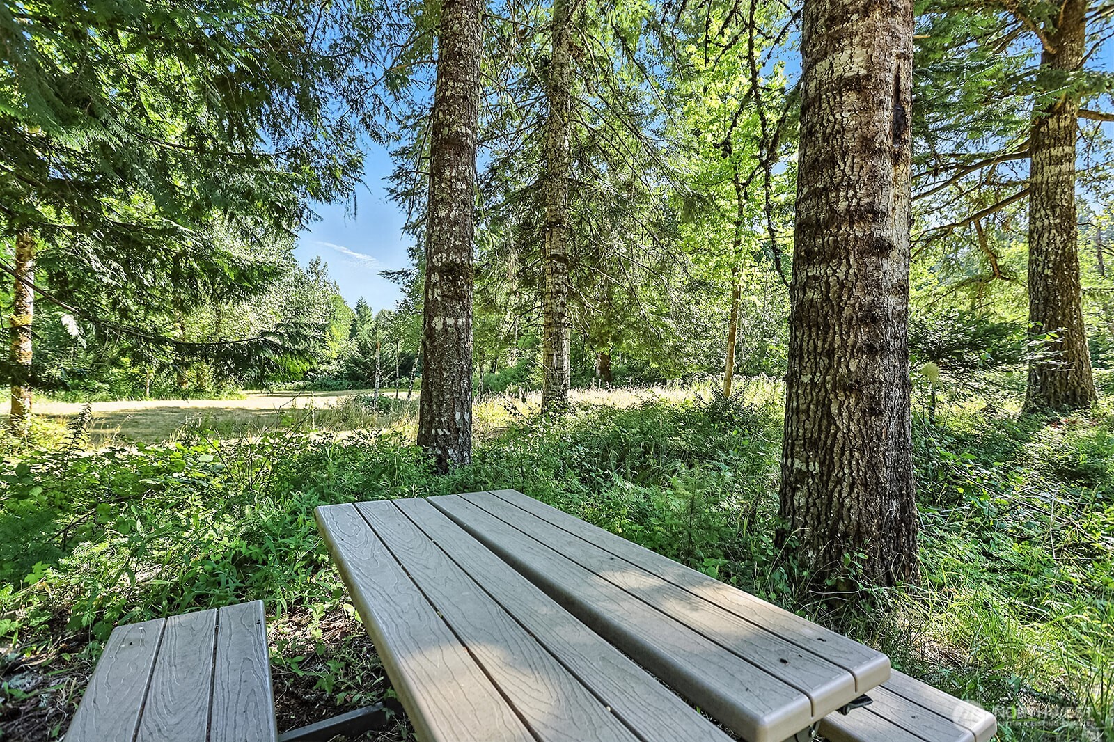 0 Fern Meadows Road Stevenson, WA 98648 - Photo 13 of 22