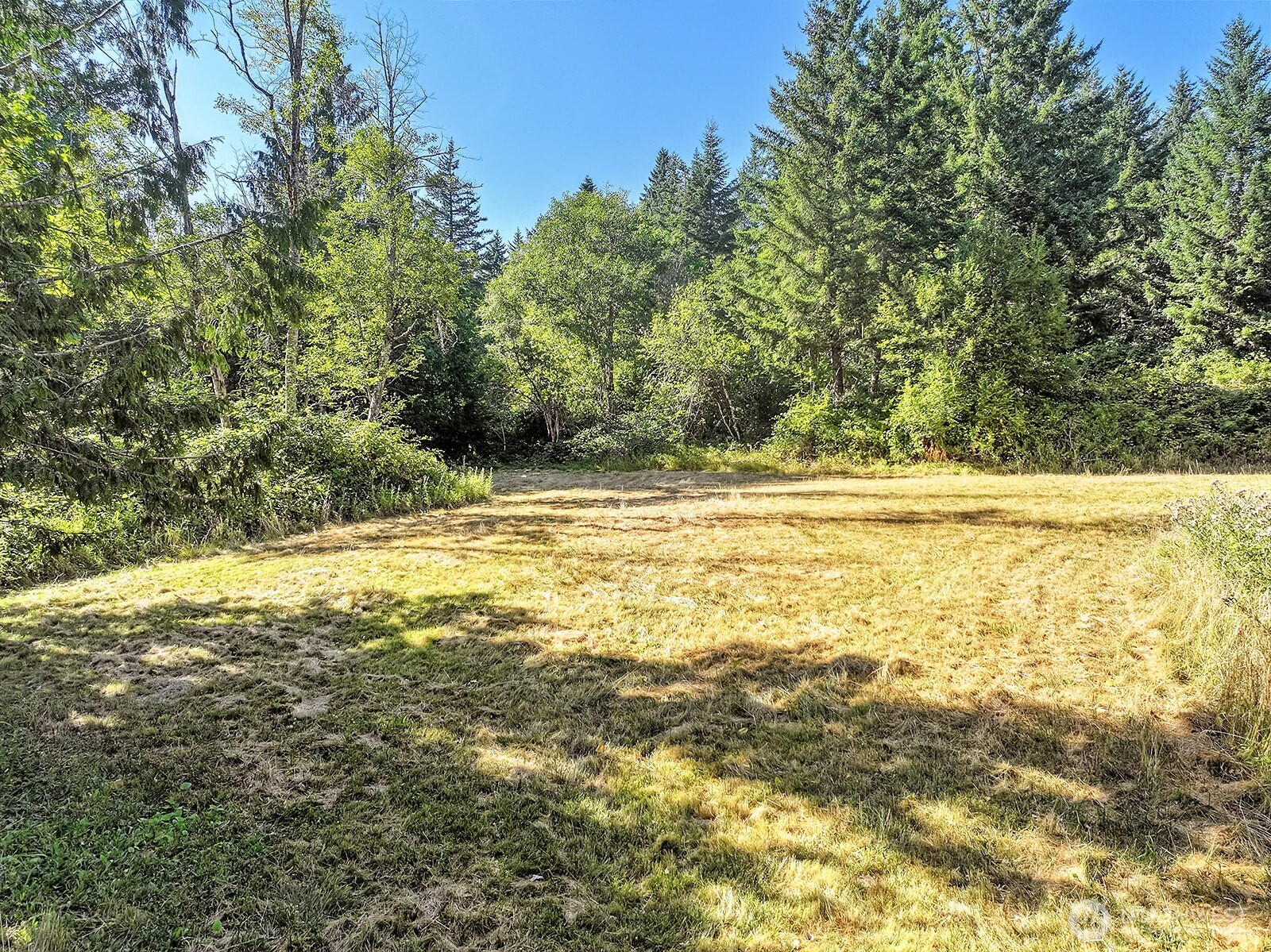 0 Fern Meadows Road Stevenson, WA 98648 - Photo 18 of 22