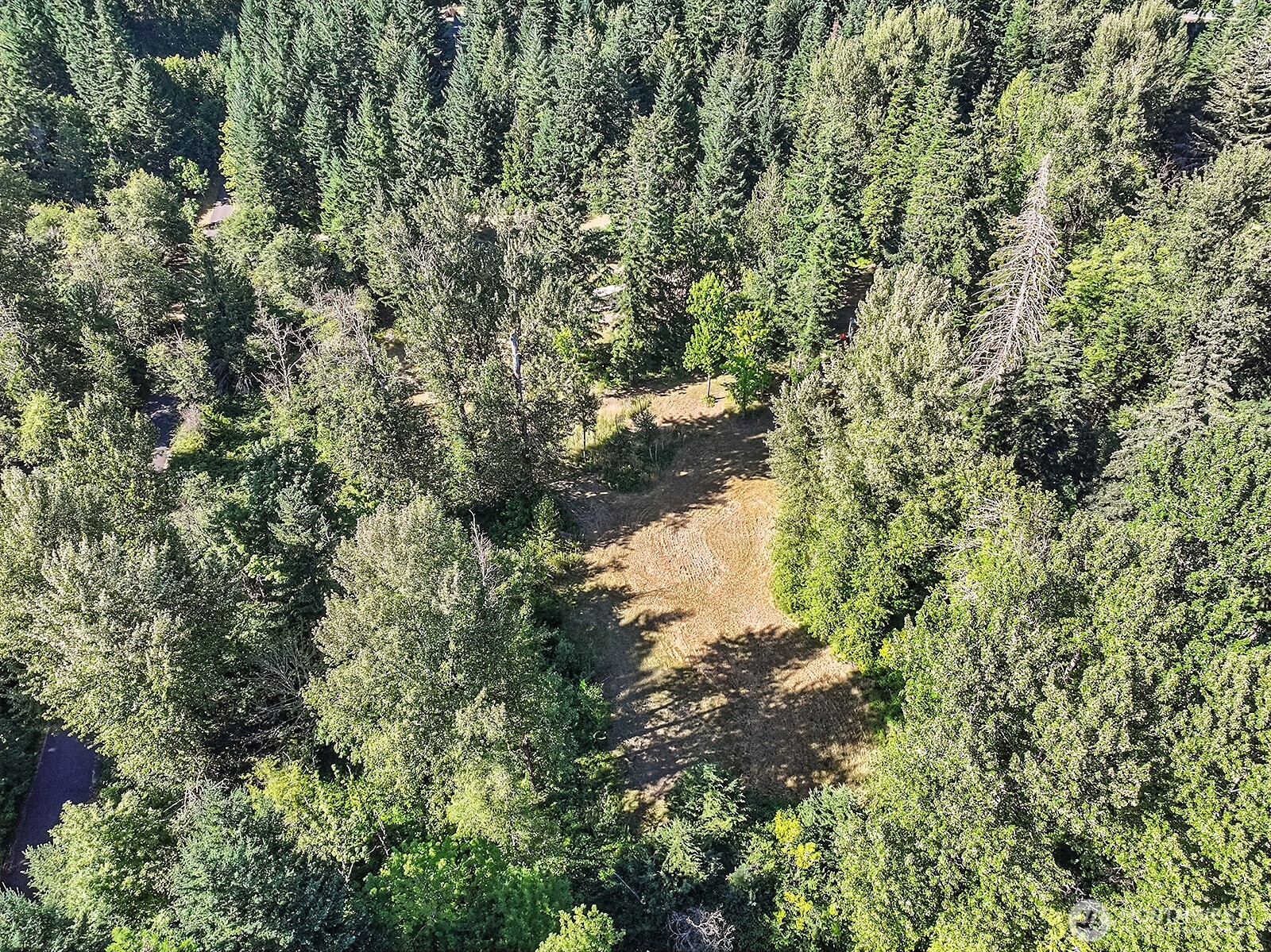 0 Fern Meadows Road Stevenson, WA 98648 - Photo 2 of 22