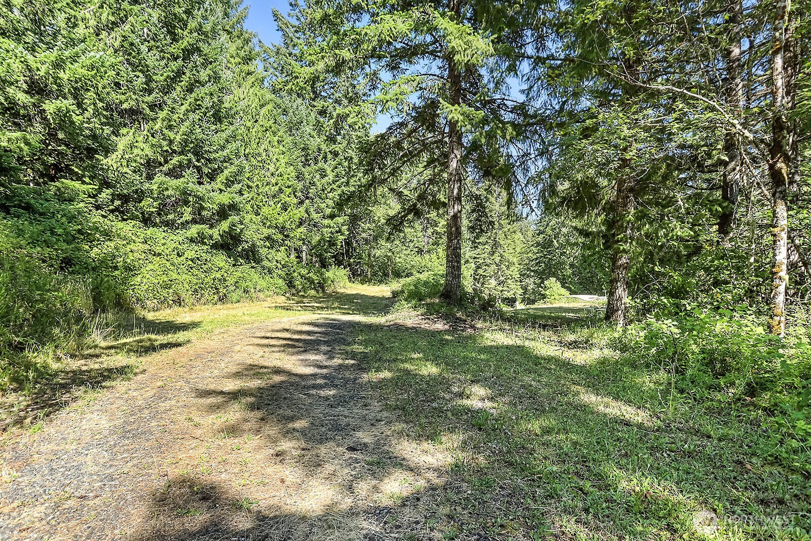 0 Fern Meadows Road Stevenson, WA 98648 - Photo 6 of 22