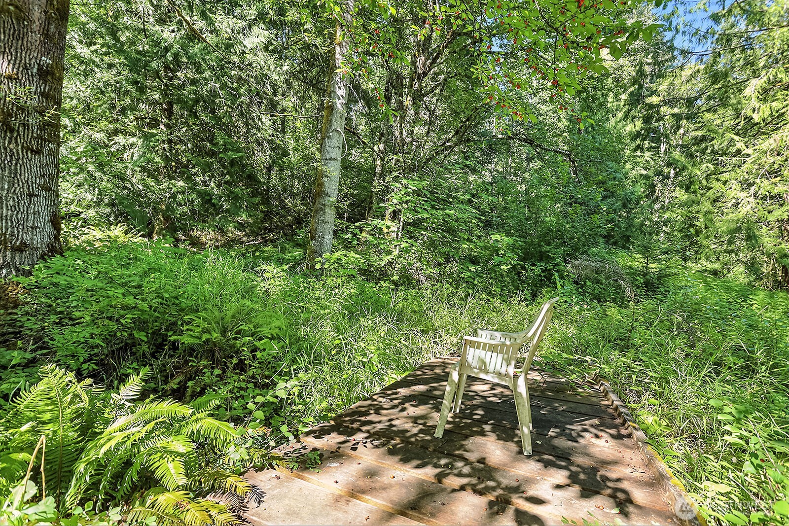 0 Fern Meadows Road Stevenson, WA 98648 - Photo 9 of 22