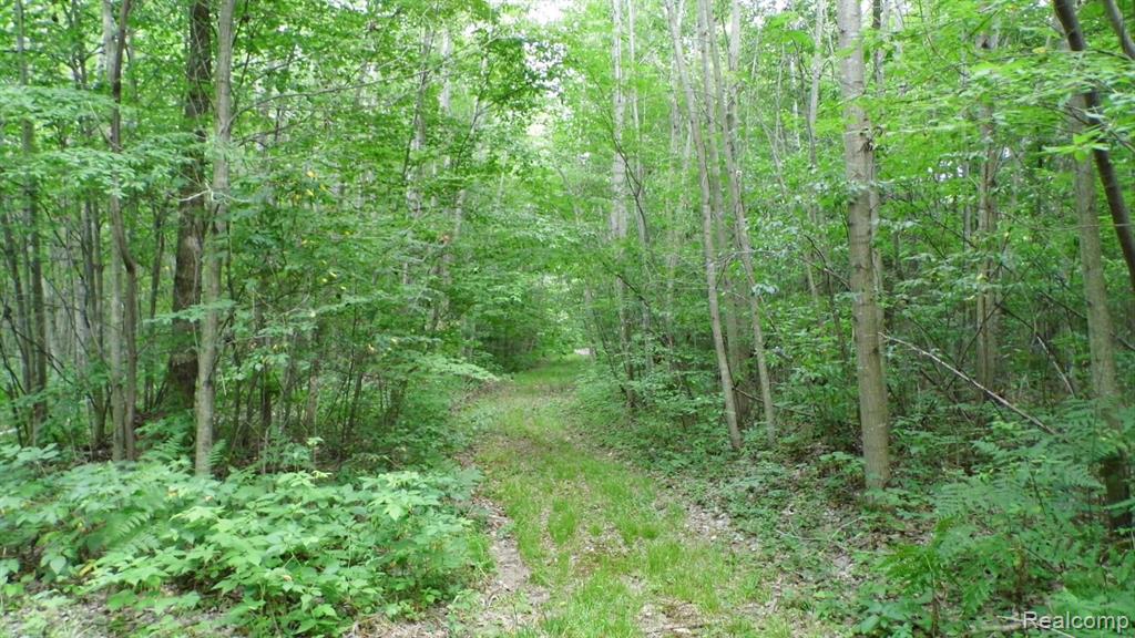 0 South Murray Road Caro, MI 48723 - Photo 5 of 14