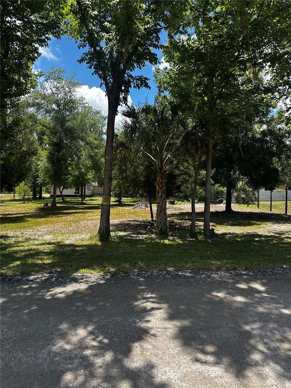 Estelle Street New Port Richey, FL 34654 - Photo 2 of 2