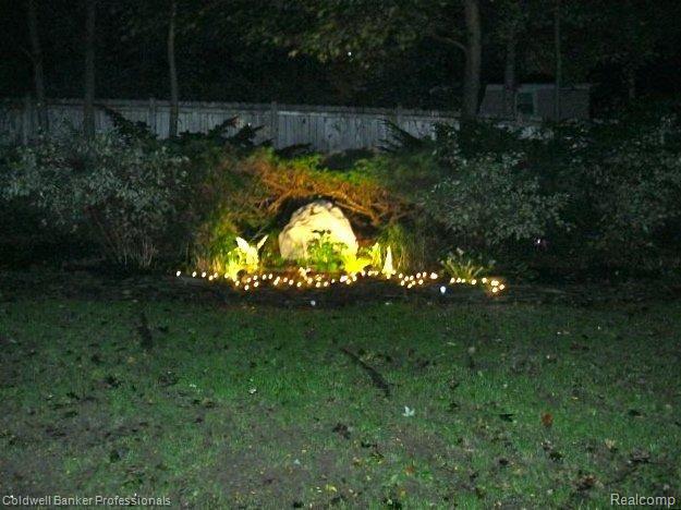 backyard at night