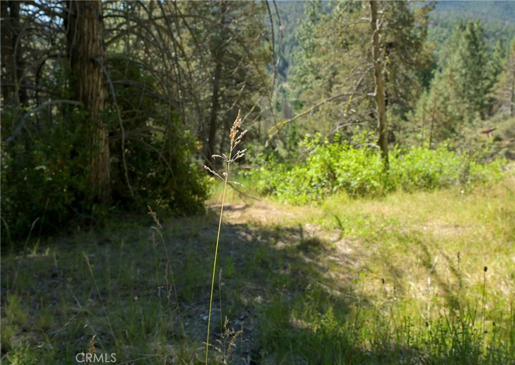 1 Duzel Creek Road Fort Jones, CA 96032 - Photo 7 of 38