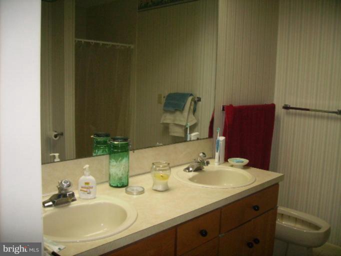 84 County Rte 9/11 Berkeley Springs, WV 25411 - Photo 22 of 22 master bath #2