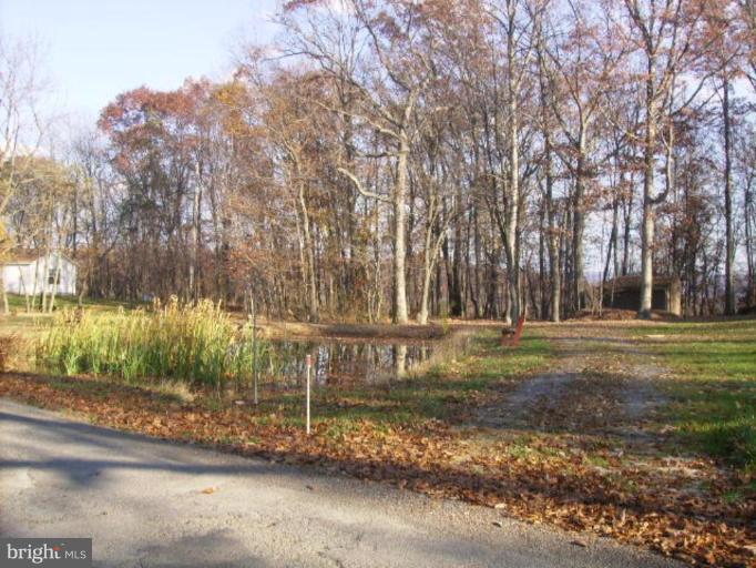 84 County Rte 9/11 Berkeley Springs, WV 25411 - Photo 7 of 22 pond view from street