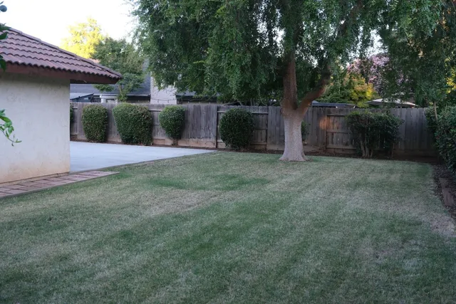 a view of a backyard