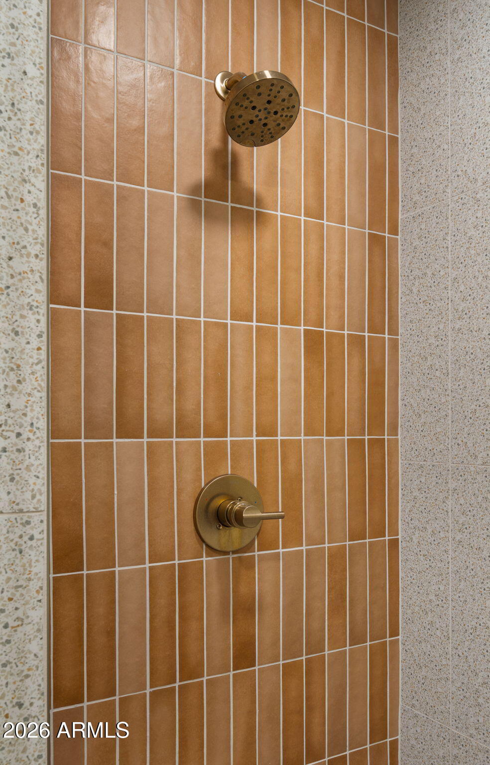 2115 North Normal Avenue Tempe, AZ 85288 - Photo 27 of 38 a bathroom with a shower