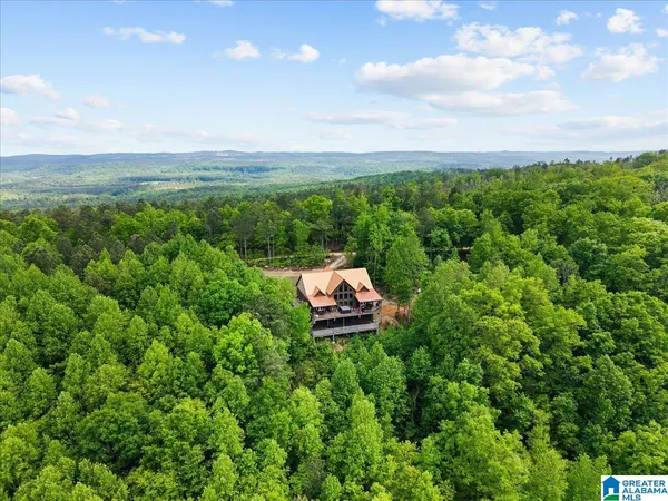 $599,900 | 1190 Skyway Drive, Lineville, AL 36266