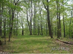0 C Rd 21 Brohard, WV 26138 - Photo 6 of 11 Gallery Image 6