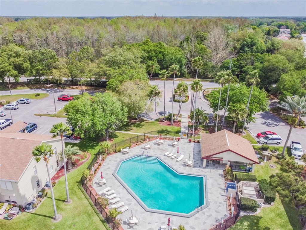 4124 Randolph Street New Port Richey, FL 34653 - Photo 84 of 84 Gallery Image 84