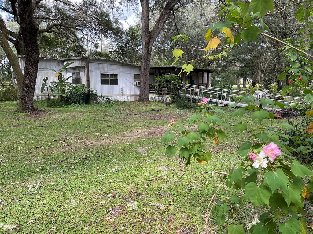 17529 Northeast 148th Terrace Road Fort McCoy, FL 32134 - Photo 1 of 1 Gallery Image 1