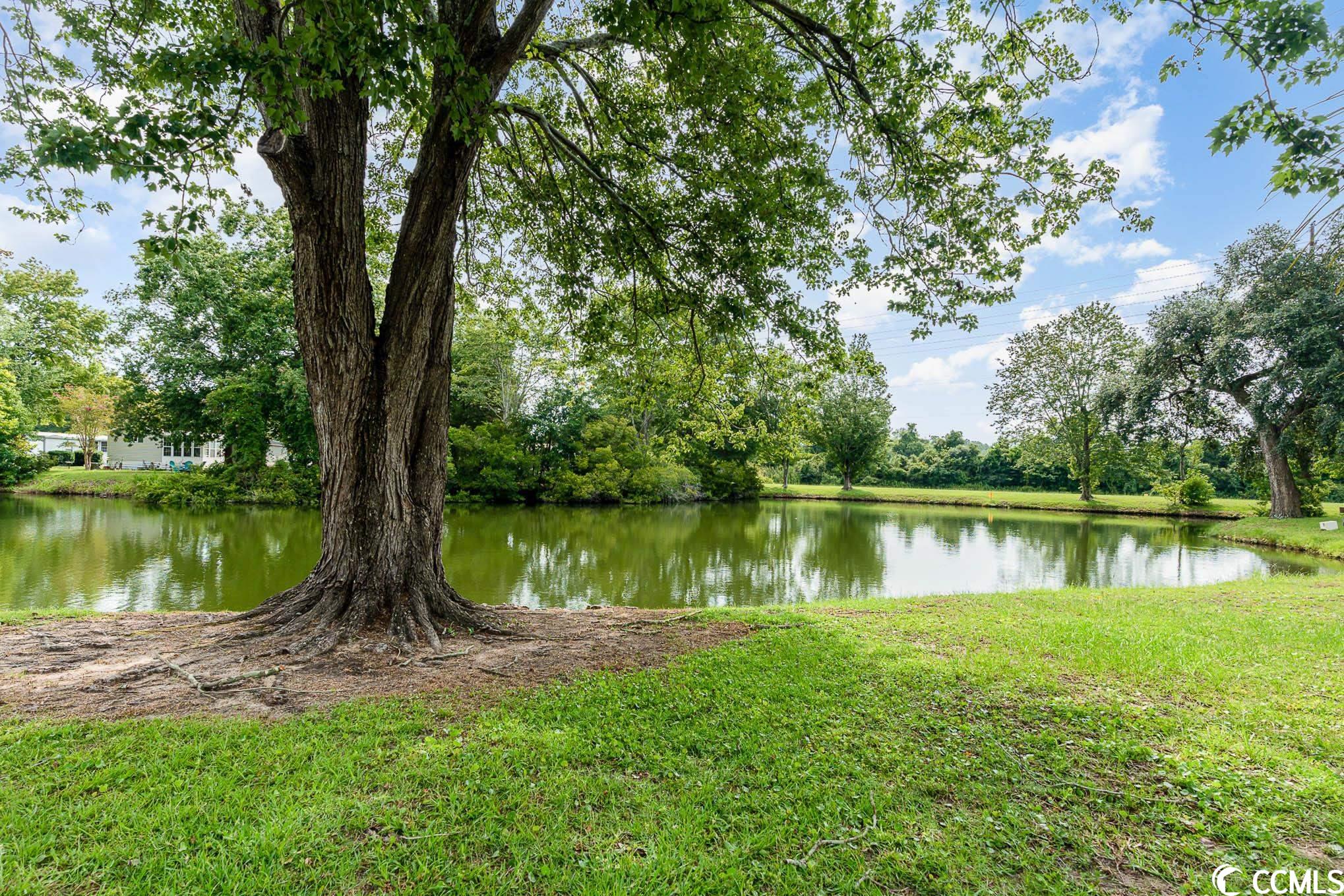 87 Beacon Court Murrells Inlet, SC 29576 - Photo 30 of 30