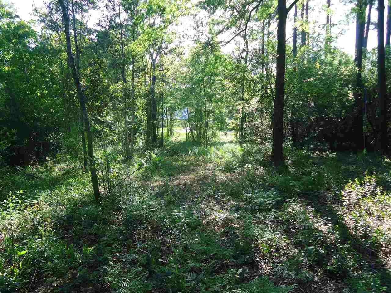 0 Hammock Road Elberta, AL 36530 - Photo 9 of 15