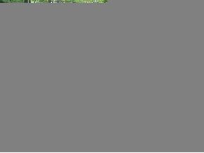 160 Anderson Road Grafton, VT 05146 - Photo 6 of 6