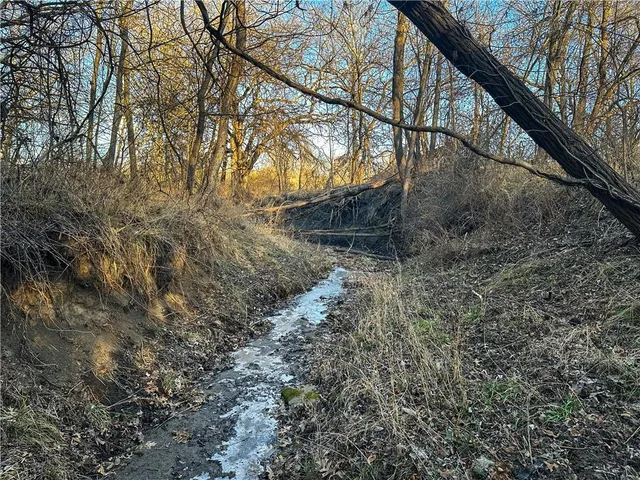 $156,250 | Rockingham Road, Hardin, MO 64035